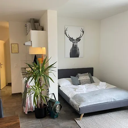 Casa Di Alex アローザ