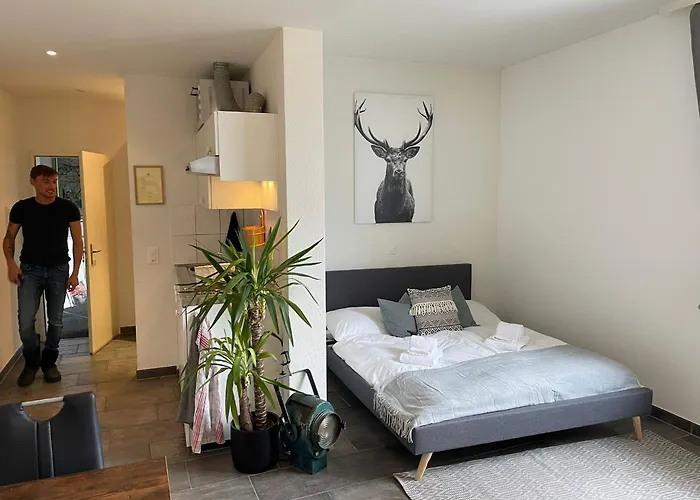 Casa Di Alex 阿罗萨